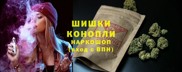 спайс Алексин