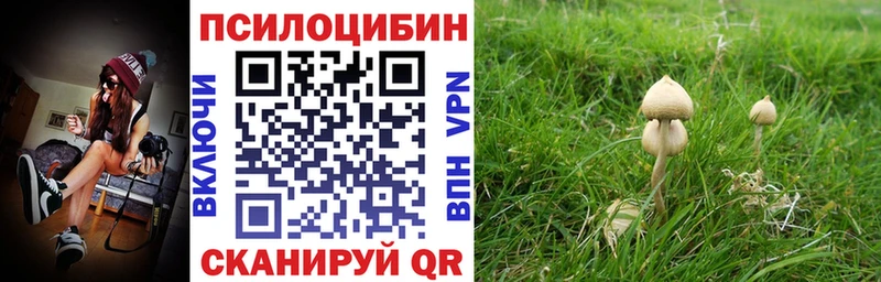 цена наркотик  Карачев  Псилоцибиновые грибы ЛСД 